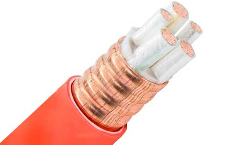 <a href='http://www.sutee.cn/kuangwuzhidianlan/' target='_blank'><u>礦物質(zhì)電纜</u></a>